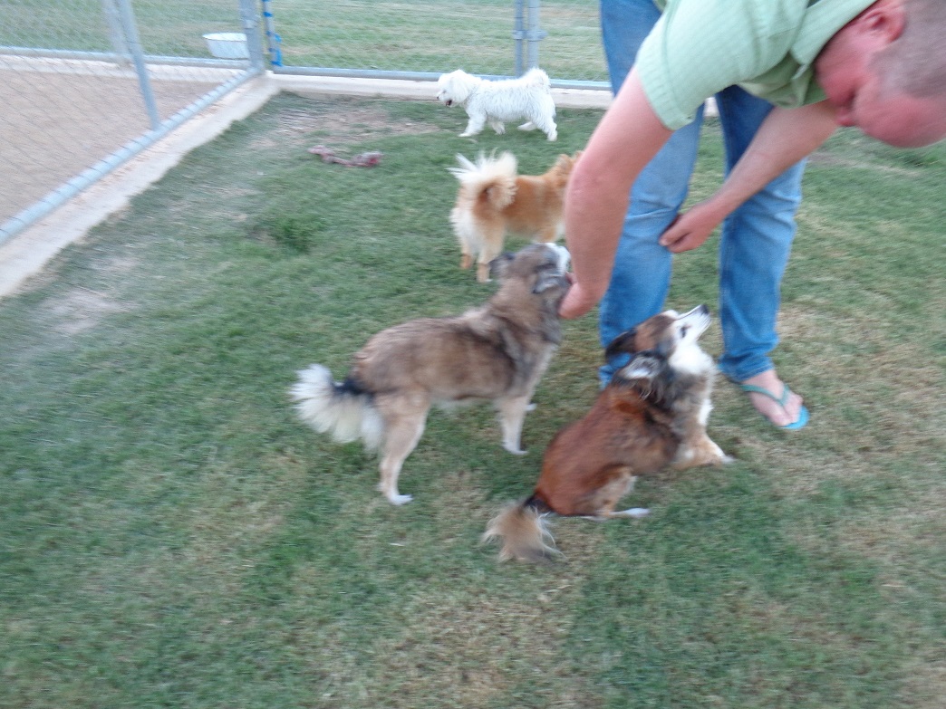 Dharma, Louise, Missy and Zoey